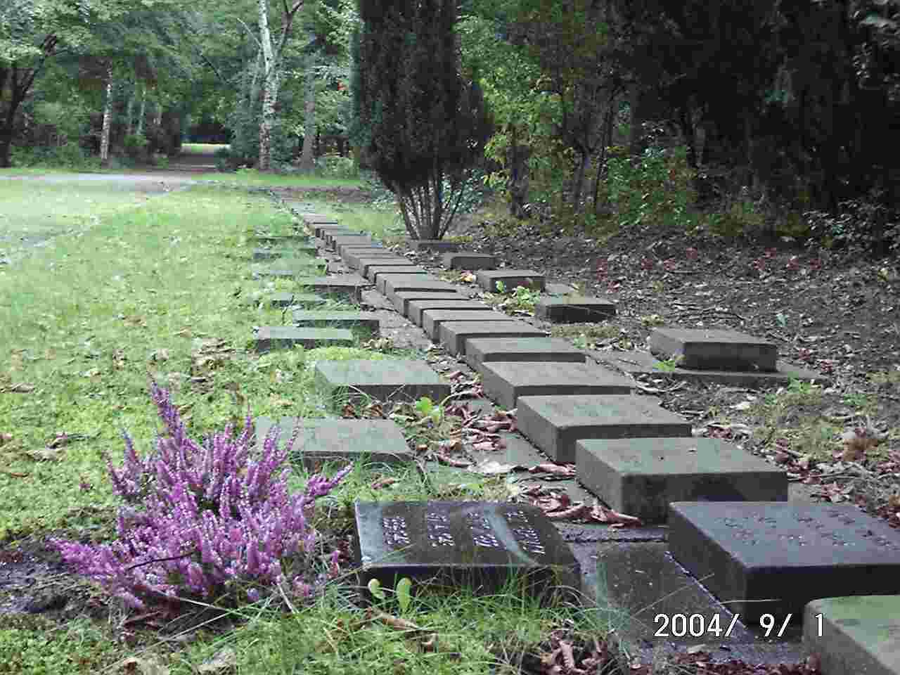 Friedhof.jpg